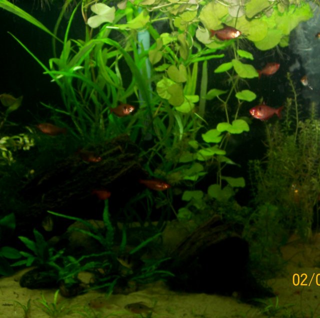 0509096.jpg