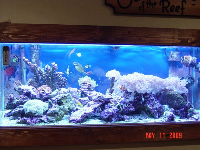 fish0509 009.jpg
