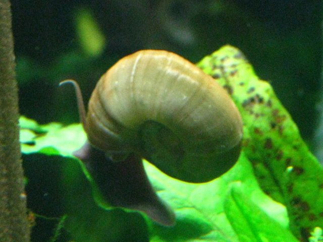 IMG_1606.JPG