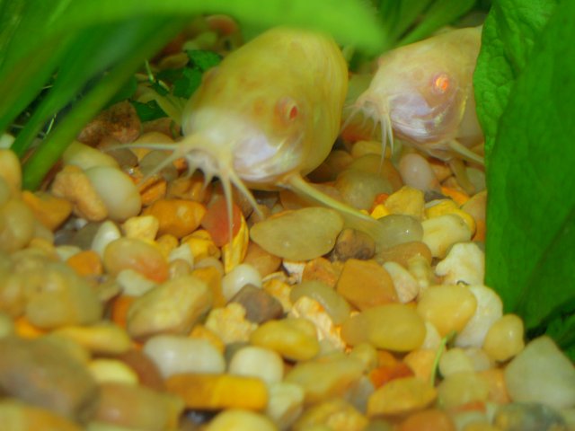 DSCN0762.JPG
