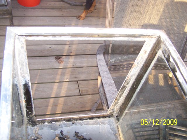 100_1553.JPG 100_1553.JPG
