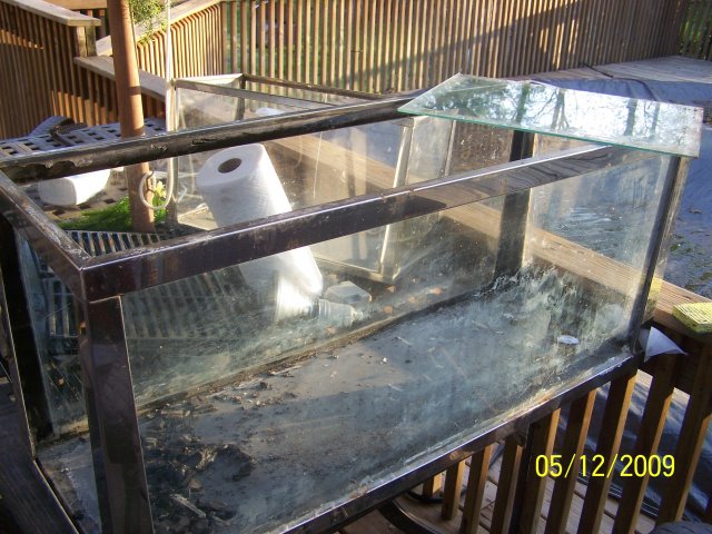 100_1556.JPG 100_1556.JPG