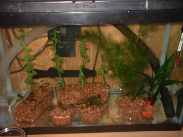 DSCF0008.JPG
