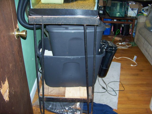 100_0234.JPG
