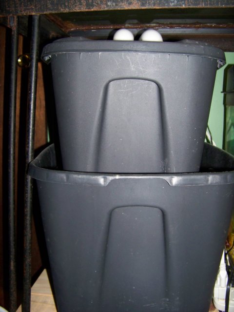 100_0236.JPG