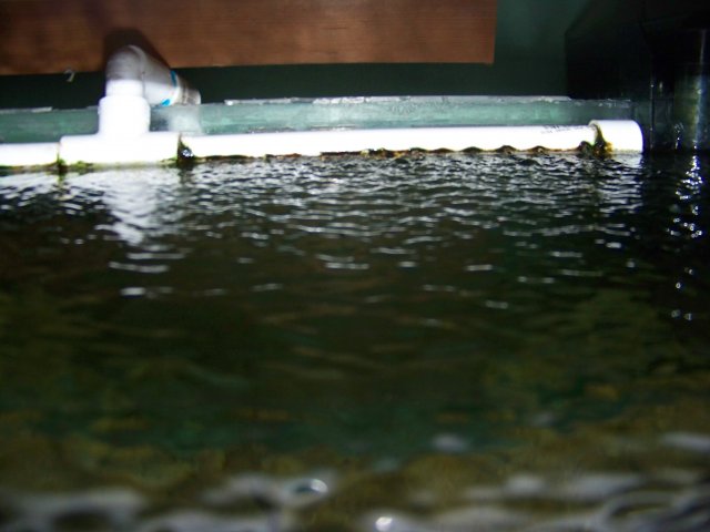 100_0241.JPG