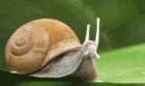 333f303e672c44a39f07c8e1e747f8bd.gif 333f303e672c44a39f07c8e1e747f8bd.gif