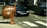 e59de79c5243f734b55aa12680571704.gif e59de79c5243f734b55aa12680571704.gif