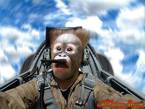 crazy_pilot.jpg crazy_pilot.jpg