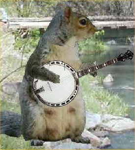 squirrel-vs-penguin.jpg squirrel-vs-penguin.jpg