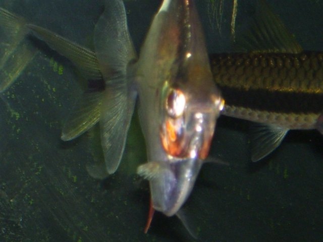 100_5263.jpg