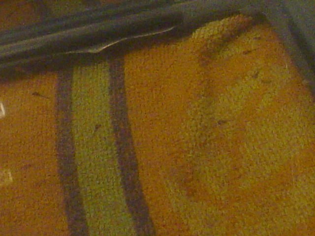 DSC02699.JPG DSC02699.JPG