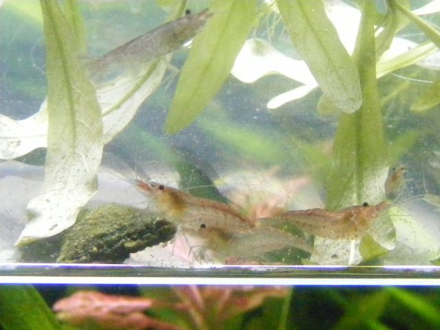 05-20-2009 005.jpg