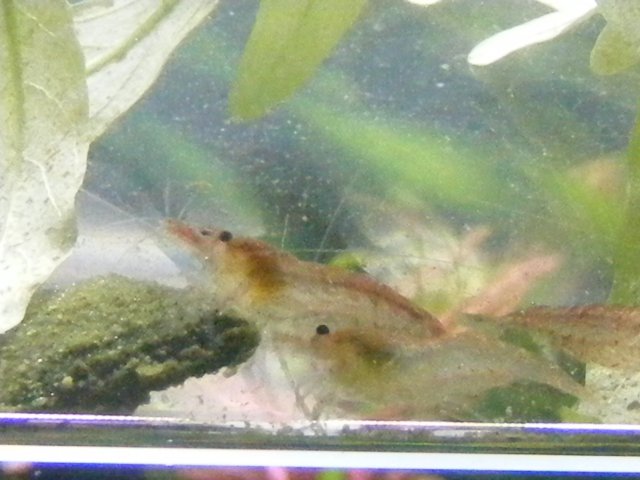05-20-2009 006.jpg