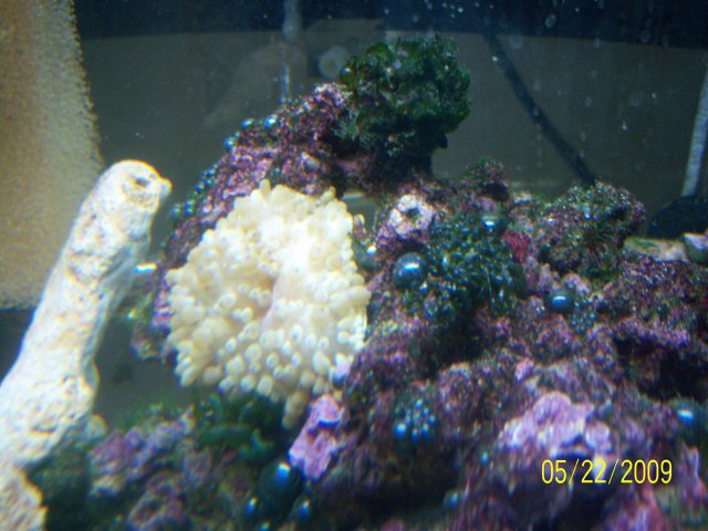 100_1928.jpg 100_1928.jpg