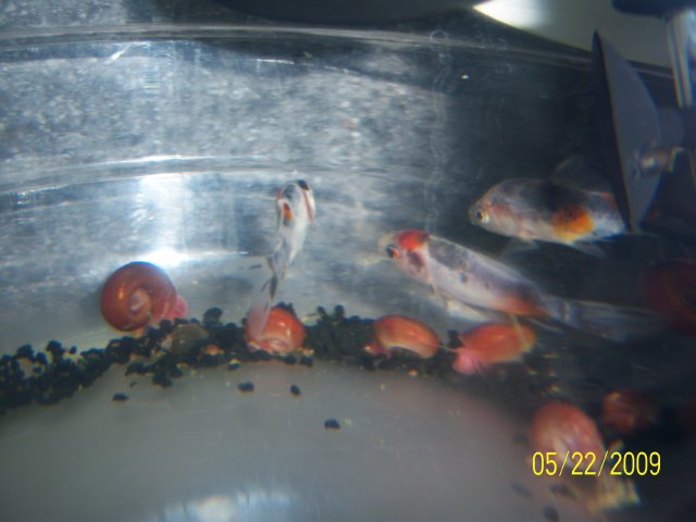 100_1939.jpg