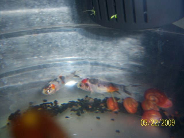 100_1945.jpg 100_1945.jpg