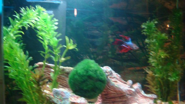 DSC04965.JPG