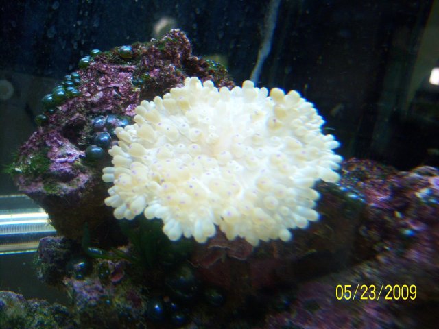 100_1967.jpg