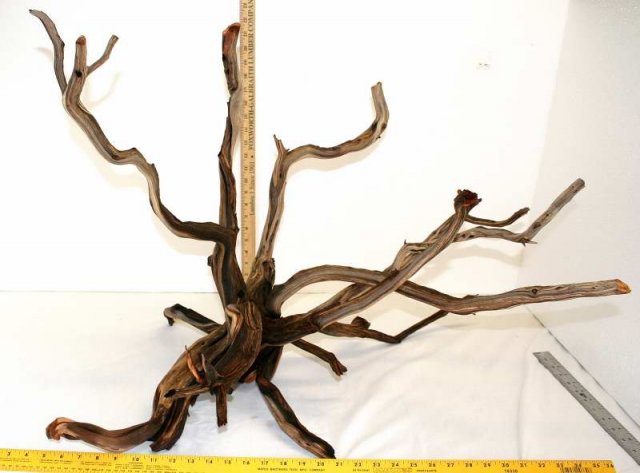 XLG STUMP 13 OVERALL0001.JPG