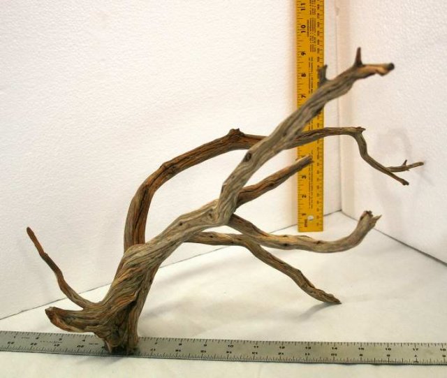 NANO STUMP PKG 24 REVERSE0001.JPG
