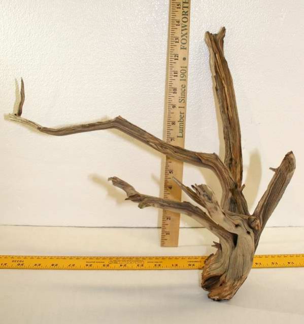 MED STUMP 24 OVERALL0001.JPG