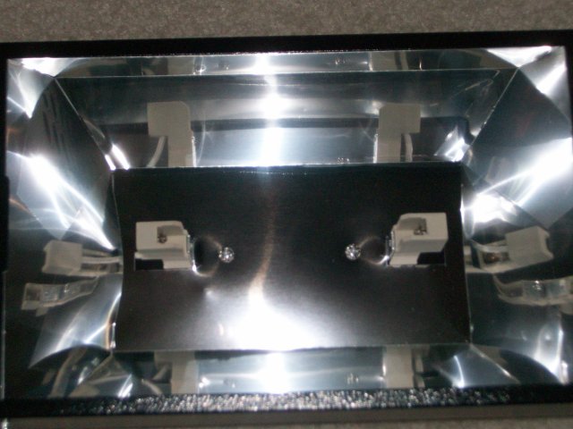 saltwater fish tank 004.jpg saltwater fish tank 004.jpg