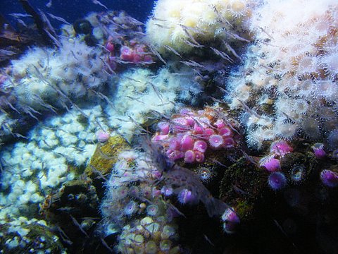 2009_052608729timelapse0007.JPG
