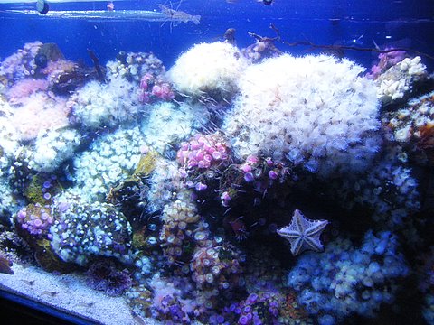 2009_052608729timelapse0016.JPG