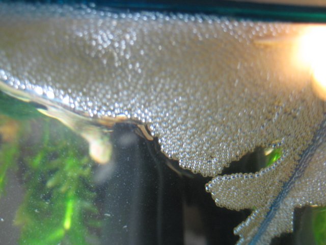 IMG_0002.JPG