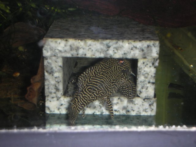 016.jpg 016.jpg