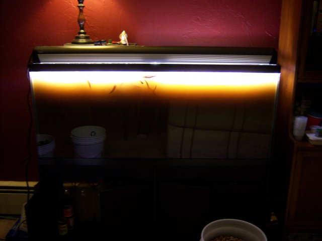 100_0680.jpg