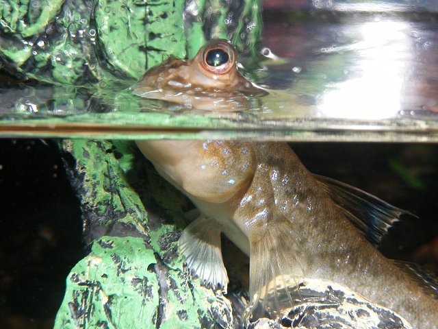 03-08-2009%20039.jpg