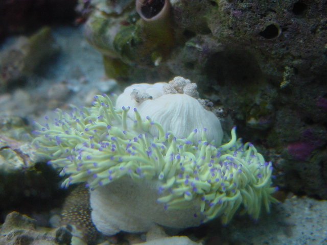 DSC04571.JPG