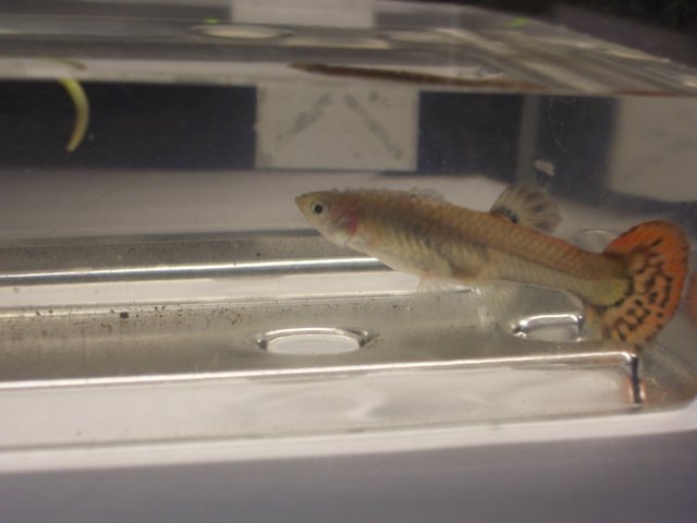 106_1901.JPG