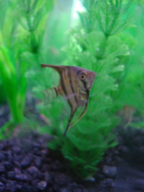 DSC08328.JPG