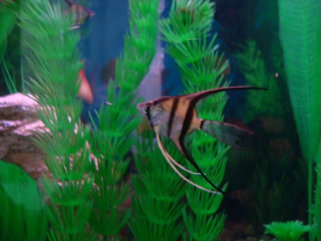 DSC08283.JPG