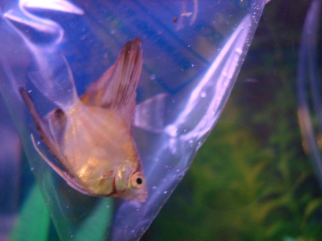 DSC08152.JPG