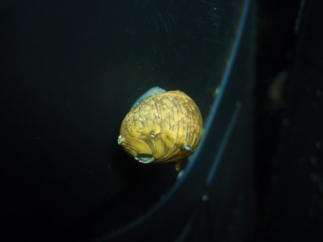 P5300046.JPG