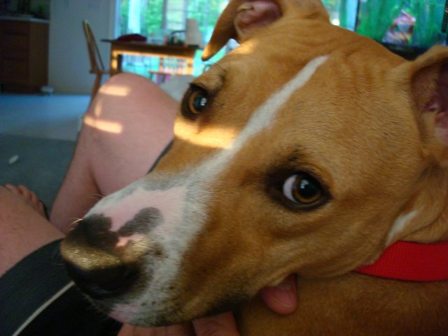 DSC08133.JPG