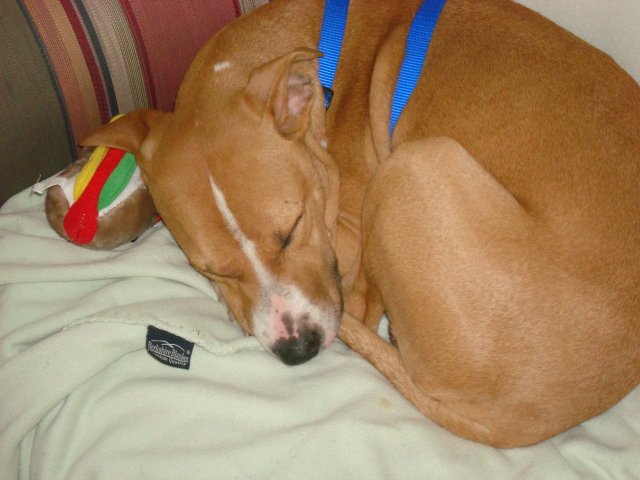 DSC07836.JPG