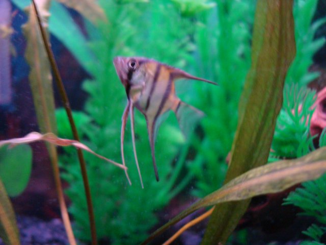 DSC08414.JPG