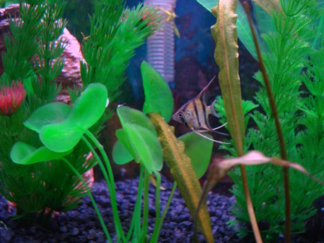 DSC08439.JPG