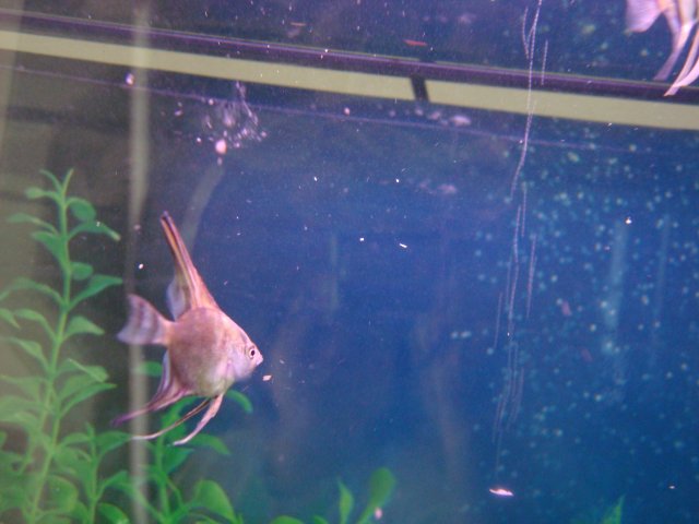 DSC08500.JPG