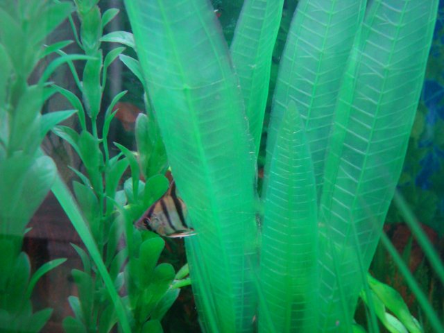 DSC08526.JPG