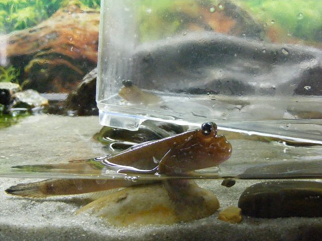 06-01-2009%20011.jpg