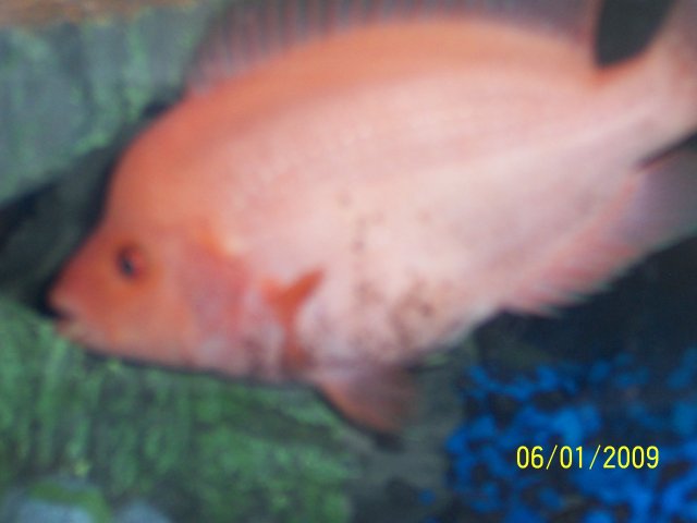 100_0406.JPG 100_0406.JPG