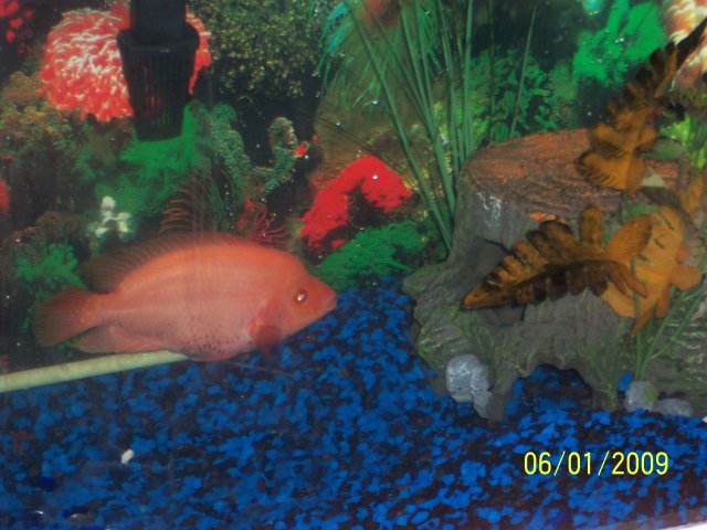 100_0407.JPG 100_0407.JPG