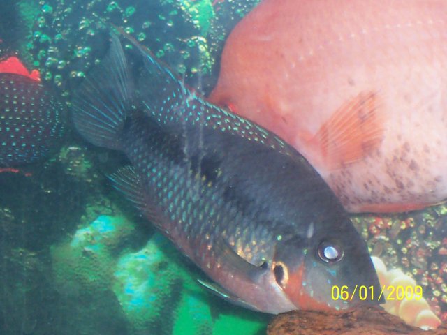 100_0408.JPG 100_0408.JPG