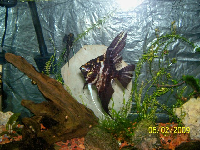 000_2941.jpg 000_2941.jpg
